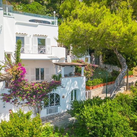 Faraglionensis Monaconehouse Villa Capri Bagian luar foto